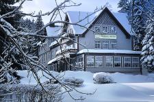 Waldhotel im Winter