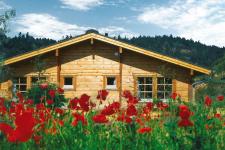 Werrapark-Resort - Ferienhausanlage Am Sommerberg, Fehrenbach