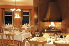 Blick in das Kaminzimmer