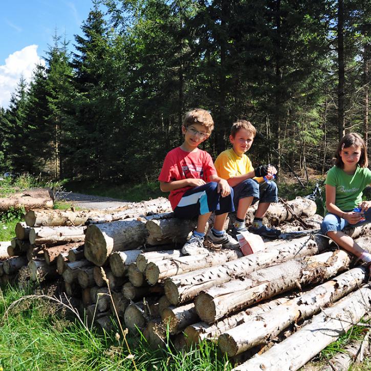 Kinder genießen die Natur