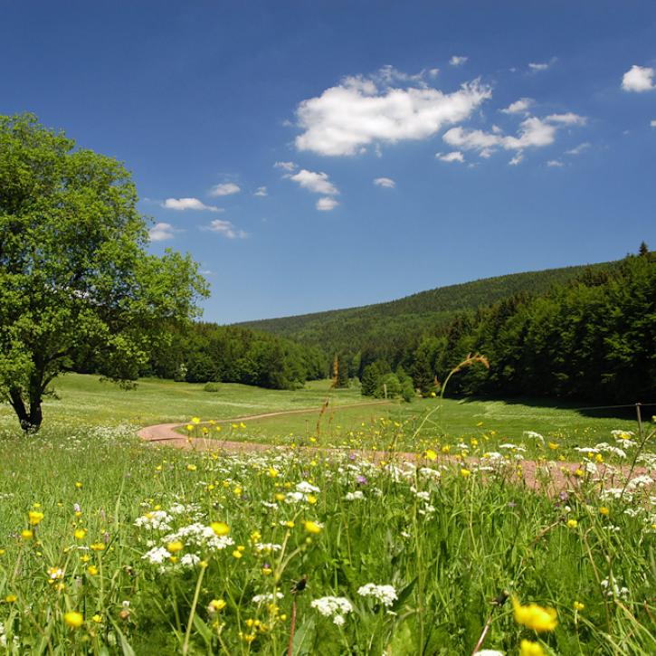 Landschaft im Vessertal