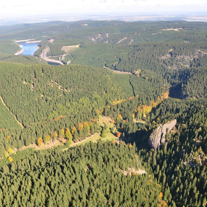 Kletterfelsen Falkenstein
