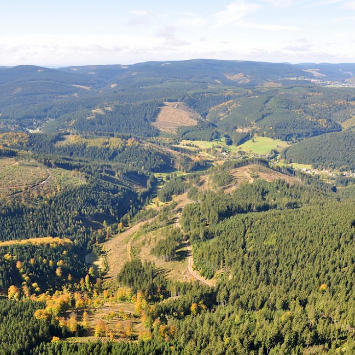 Landschaft bei Ilmenau