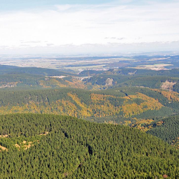 Thüringer Wald