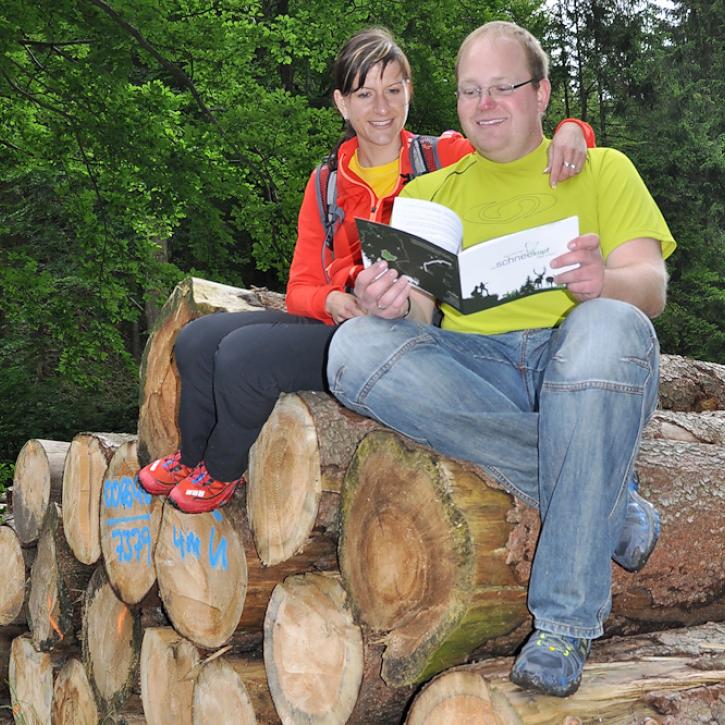 Paar auf Baumstämmen