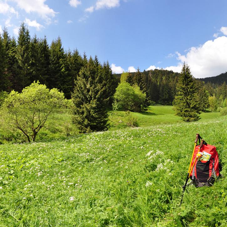Pochwerksgrund bei Goldlauter