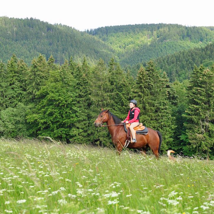 Reiten bei Gehlberg