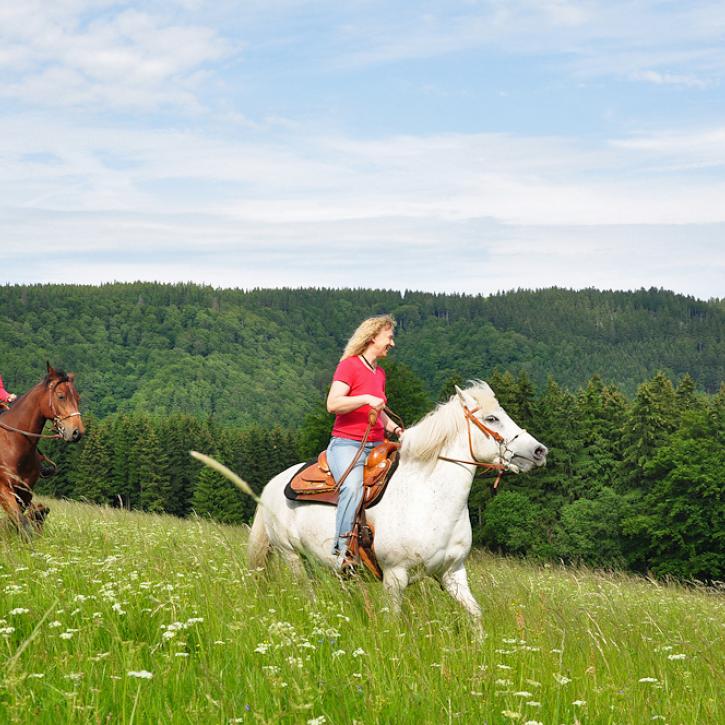 Mit Pferden unterwegs