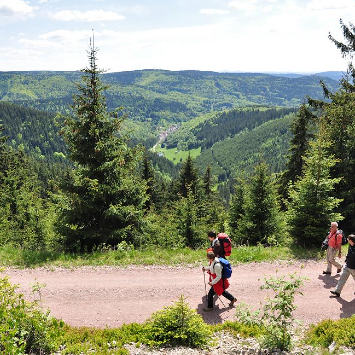 Wanderer auf der Rosenkopfstraße