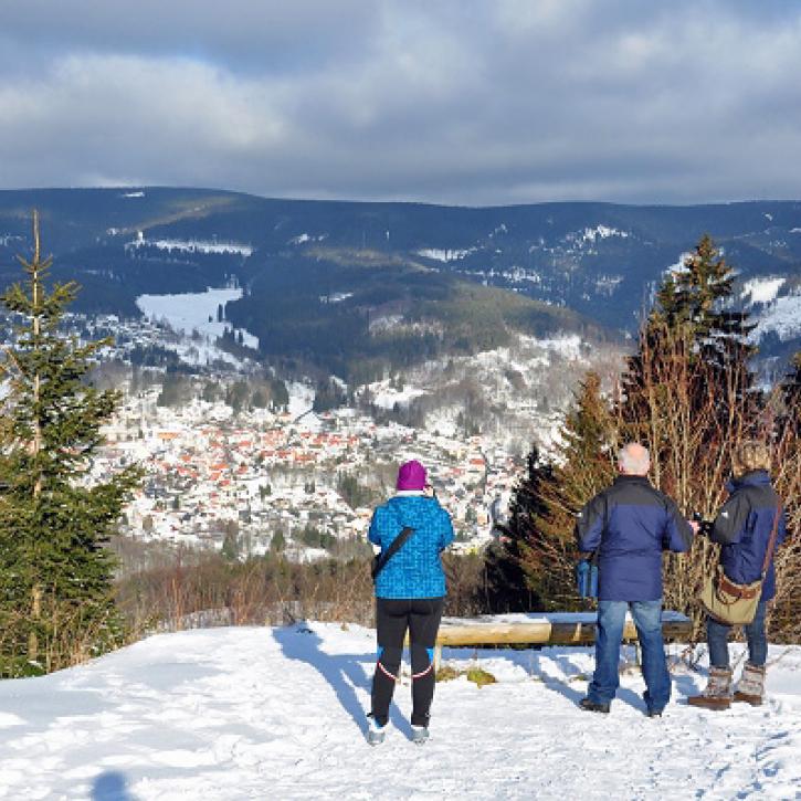 Ausblick auf Goldlauter-Heidersbach