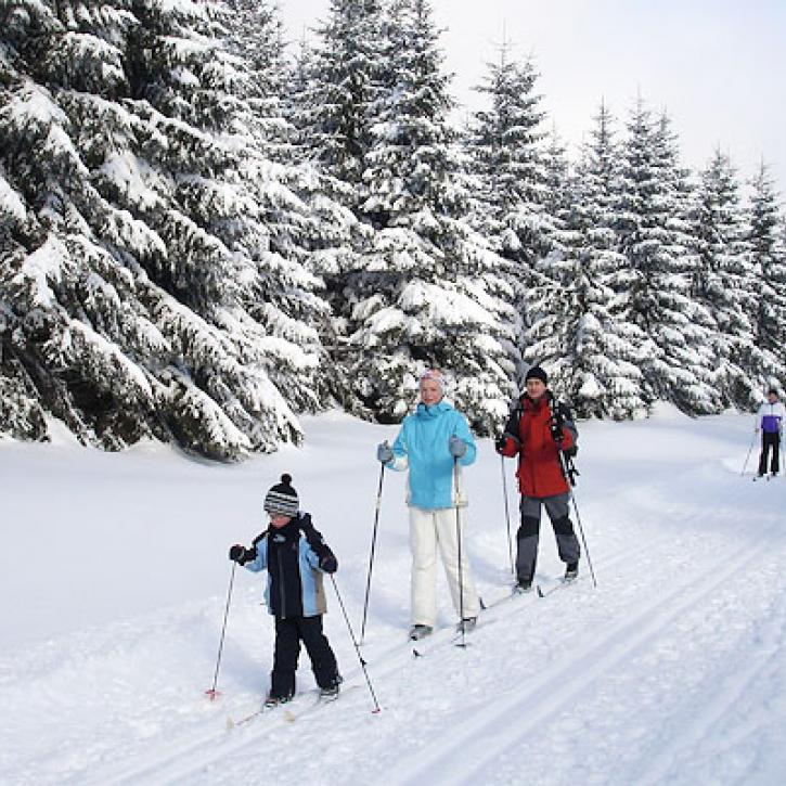 Familie beim Langlauf