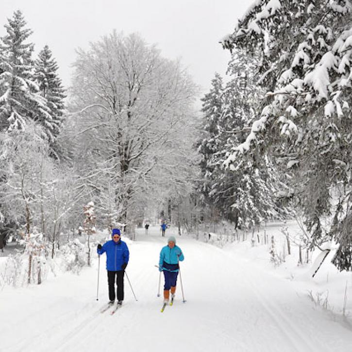 Langlauf am Ruppberg