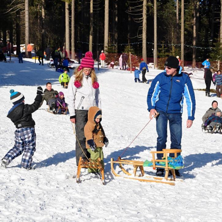Schlitten fahren bei Oberhof
