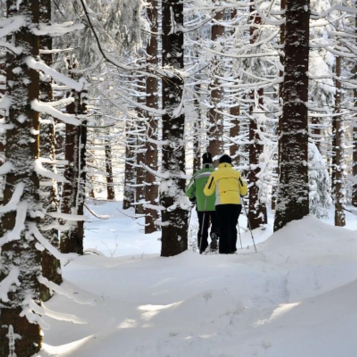 romantische Schneeschuh- wanderung