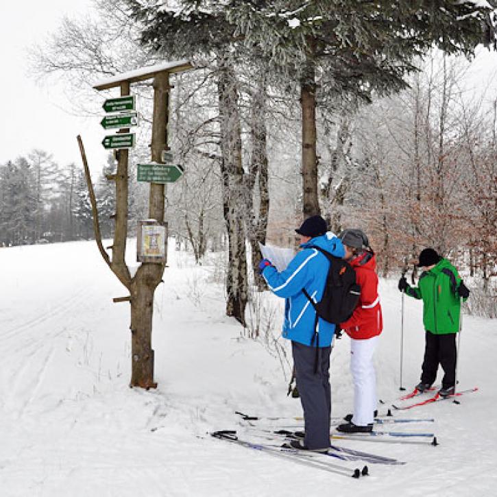 Skifahrer am Knüllfeld