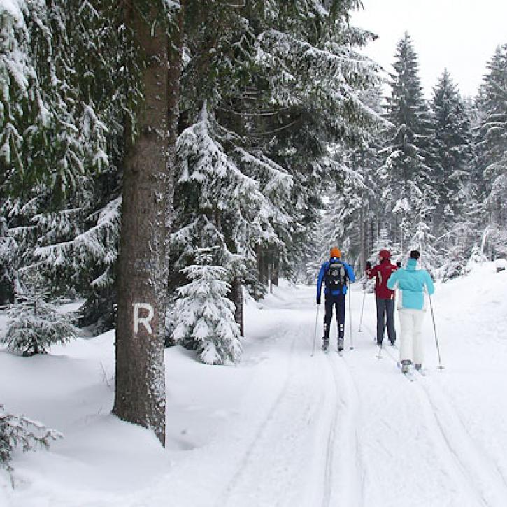 Skifahrer am Rennsteig