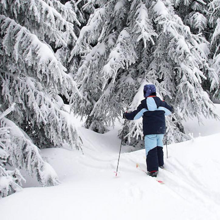 Winterlandschaft im Thüringer Wald