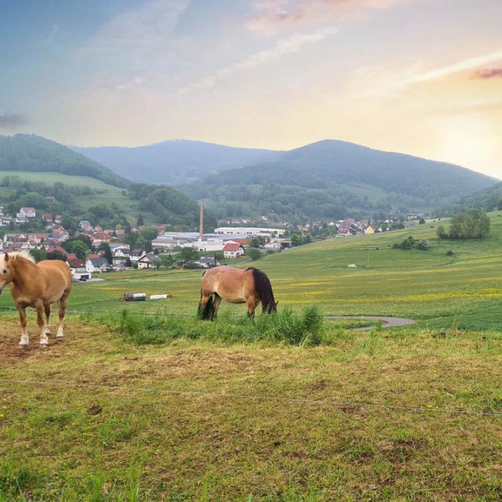 Blick auf Floh-Seligenthal