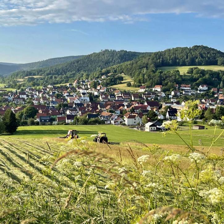 Sommerlandschaft in Floh-Seligenthal