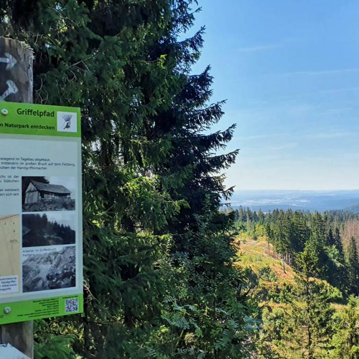 Wandern am Pathelsbruch (Foto: © Touristinformation Steinach)