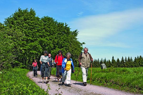 Nordic Walking im Thüringer Wald