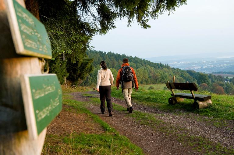 Wandern im Thüringer Wald