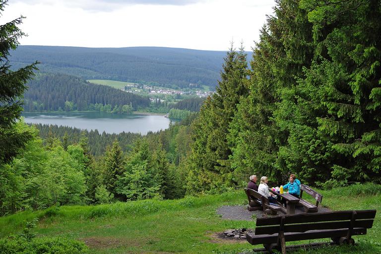 Blick zur Talsperre Scheibe-Alsbach