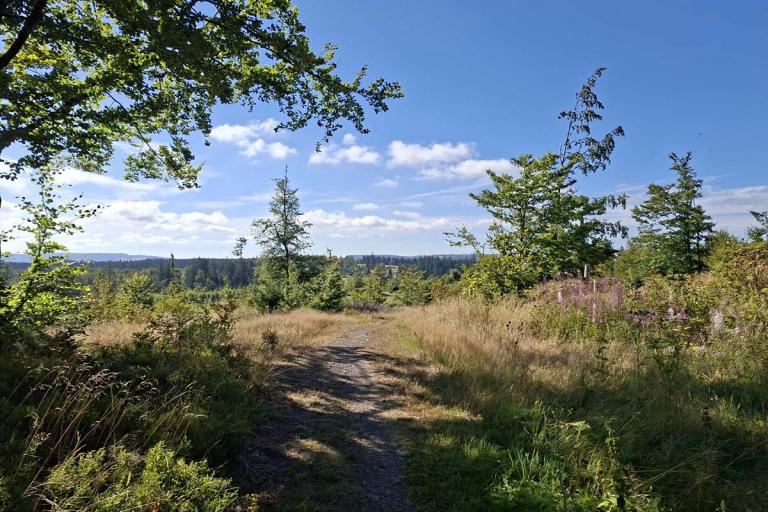 Der Rennsteig