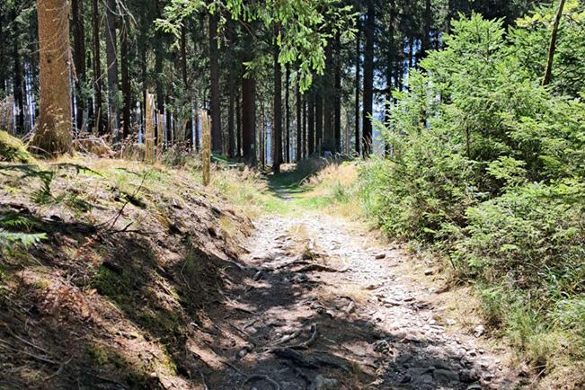Weg zwischen Limbach und Neuhaus am Rennweg 