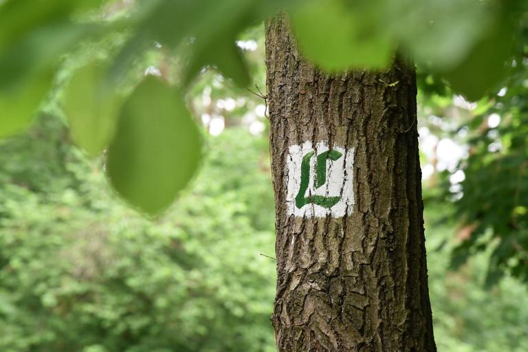 Schriftzug Lutherweg an Baum